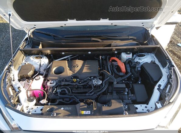 JTMRWRFVOSD313638 2025 TOYOTA LE Белый Вид сзади