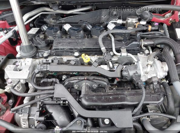 JTND4MBE4P3206481 2023 TOYOTA LL Red Rear view