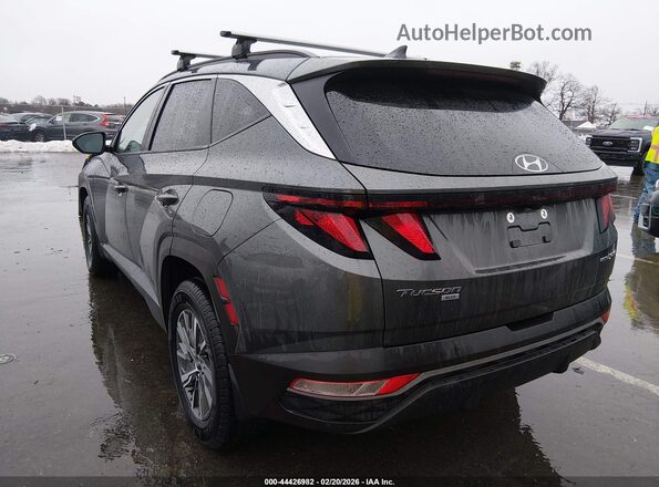 KM8JBCD1XRU206348 2024 HYUNDAI TUCSON HYBRID Gray 