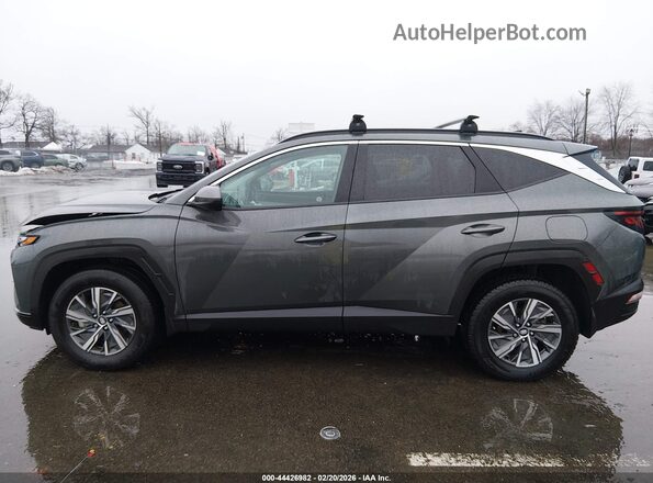 KM8JBCD1XRU206348 2024 HYUNDAI TUCSON HYBRID Gray 