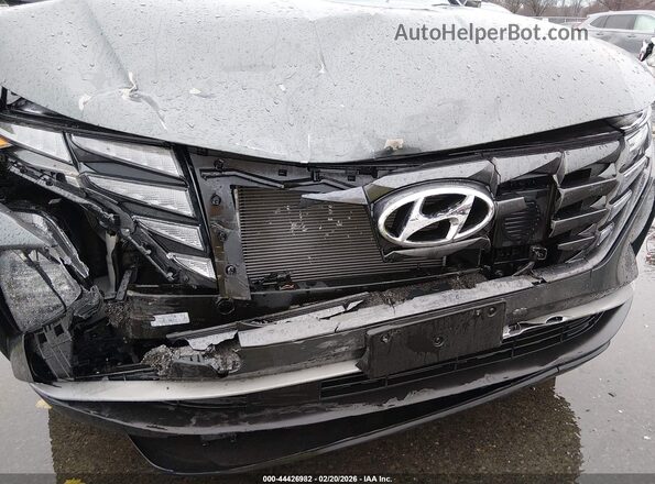 KM8JBCD1XRU206348 2024 HYUNDAI TUCSON HYBRID Gray 