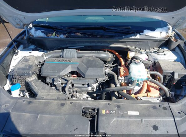 KM8JBDA22PU133296 2023 HYUNDAI TUCSON PLUG-IN HYBRID Серебряный Вид сзади