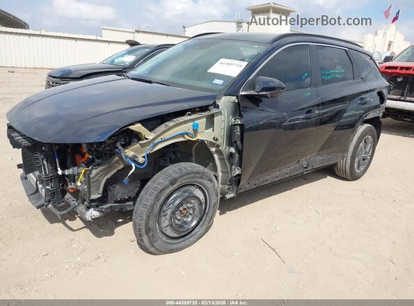 KM8JBDD14SU291375 2025 HYUNDAI TUCSON HYBRID Blue 