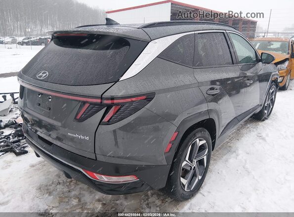 KM8JCCD15RU149795 2024 HYUNDAI TUCSON HYBRID Gray Trasero derecho