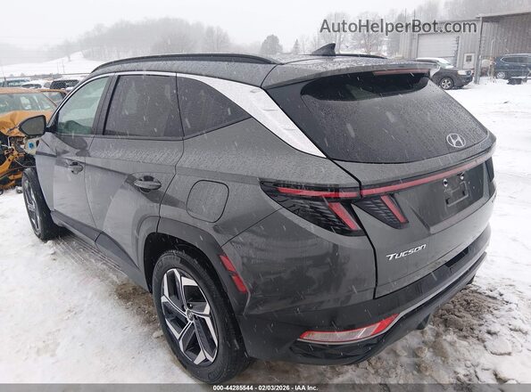 KM8JCCD15RU149795 2024 HYUNDAI TUCSON HYBRID Gray Trasero izquierdo