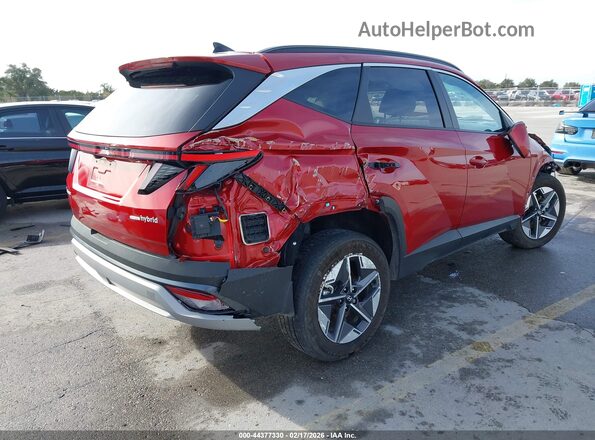 KM8JCDD16SU296848 2025 HYUNDAI TUCSON HYBRID Red Tył prawy