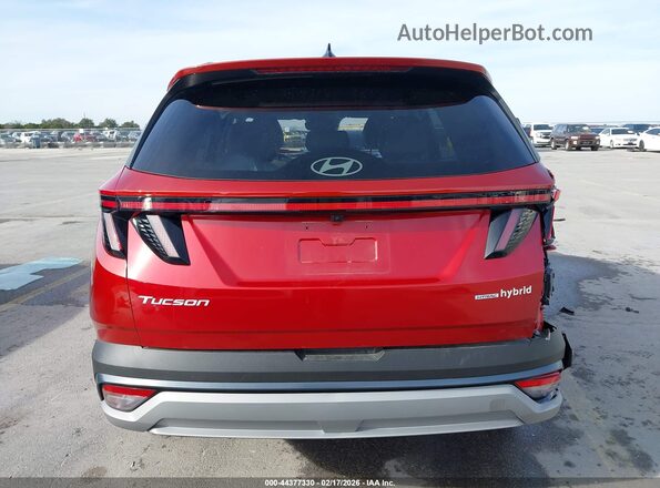 KM8JCDD16SU296848 2025 HYUNDAI TUCSON HYBRID Red 