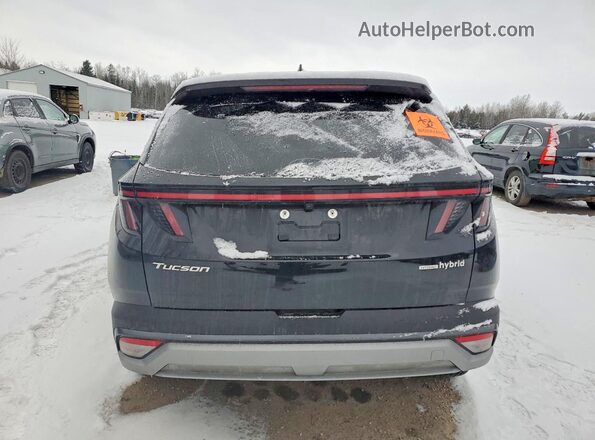 KM8JCDD19TU411086 2026 HYUNDAI TUCSON Черный Вид сзади