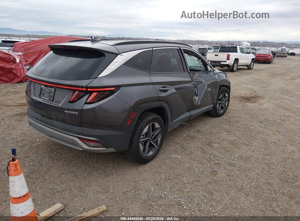 KM8JCDD1XSU302974 2025 HYUNDAI TUCSON HYBRID Gray Rear right