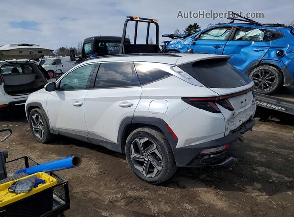 KM8JECA12NU082212 2022 HYUNDAI TUCSON White Trasero izquierdo