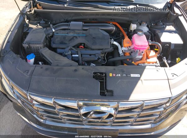 KM8JECD15RU226689 2024 HYUNDAI TUCSON HYBRID Black Widok z tyłu