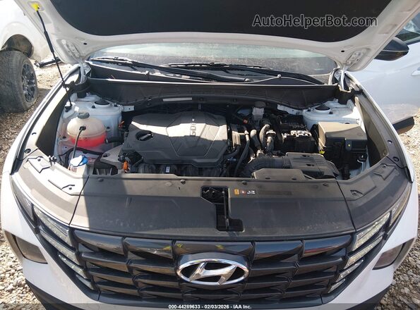 KM8JF3DE9RU306237 2024 HYUNDAI TUCSON White Vista trasera