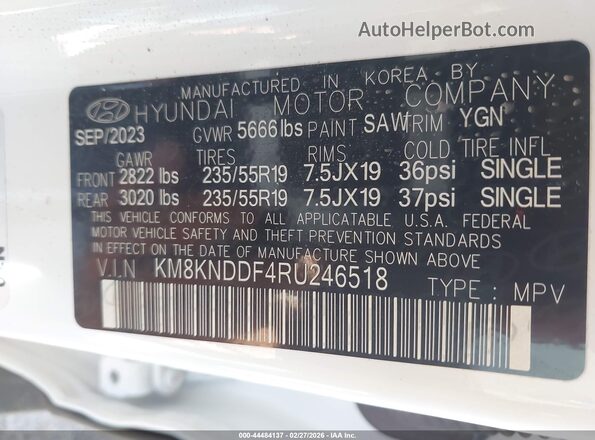 KM8KNDDF4RU246518 2024 HYUNDAI IONIQ 5 White 