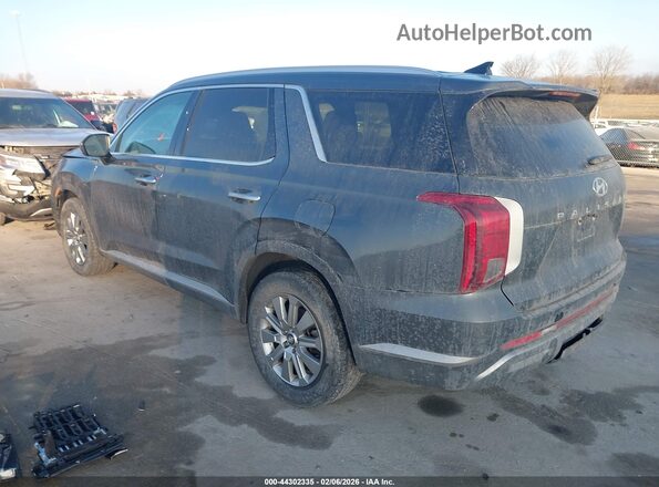 KM8R2DGE4RU662448 2024 HYUNDAI PALISADE Gray Tył lewy