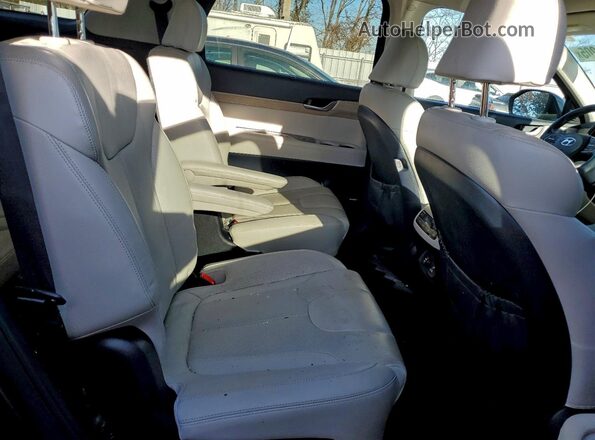 KM8R4DHE3LU103764 2020 HYUNDAI PALISADE Blue Вид задньої частини салону
