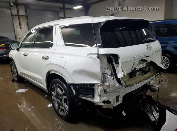 KM8R5DGE9PU569249 2023 HYUNDAI PALISADE White Trasero izquierdo