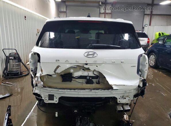 KM8R5DGE9PU569249 2023 HYUNDAI PALISADE White Vista trasera