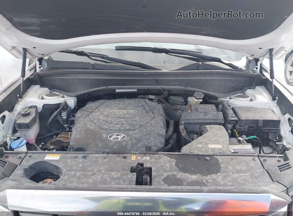 KM8R7DGE8PU501261 2023 HYUNDAI PALISADE White Widok z tyłu