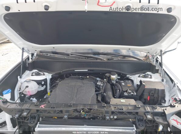 KM8RM5S28TU025809 2026 HYUNDAI PALISADE White 