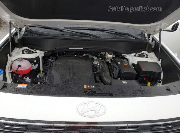 KM8RMES27TU042519 2026 HYUNDAI PALISADE White Շարժիչի բաժամունքի տեսք