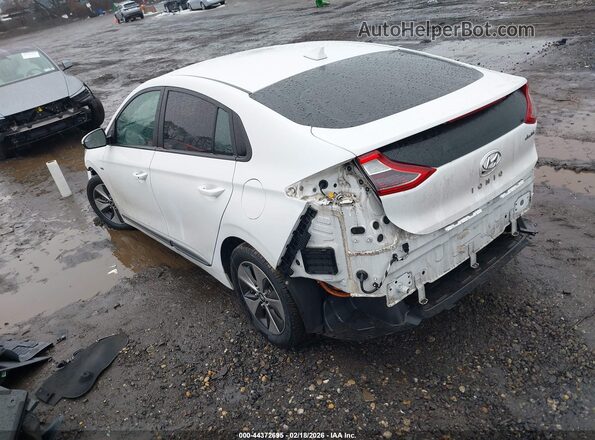 KMHC75LH2KU052289 2019 HYUNDAI IONIQ ELECTRIC Turquoise Rear left
