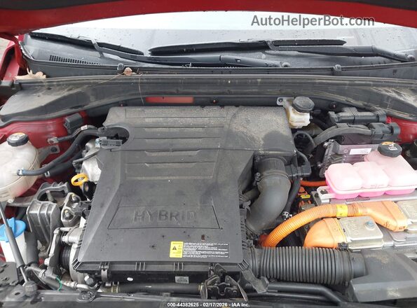 KMHC85LC8NU266497 2022 HYUNDAI IONIQ HYBRID Красный Вид сзади