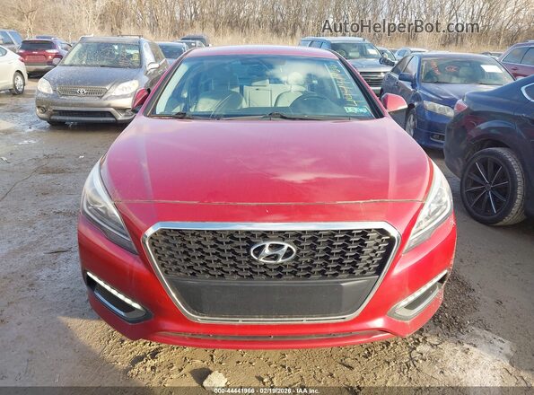 KMHE24L12GA019175 2016 HYUNDAI SONATA HYBRID Red Widok z przodu
