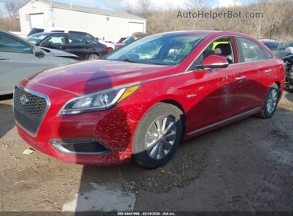 KMHE24L12GA019175 2016 HYUNDAI SONATA HYBRID Red Przód lewy