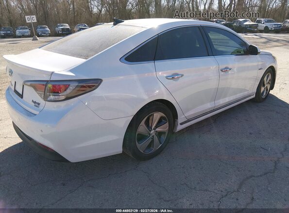 KMHE34L14GA009518 2016 HYUNDAI SONATA HYBRID White Tył prawy