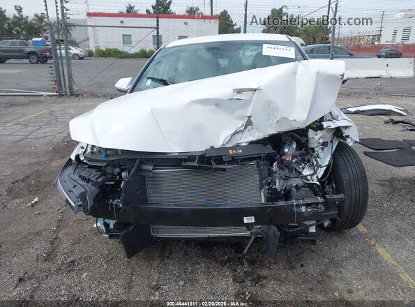 KMHLL4DG4SU028149 2025 HYUNDAI ELANTRA Белый 