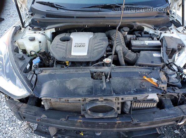 KMHTC6AE4HU310346 2017 HYUNDAI VELOSTER Белый Вид задней части салона