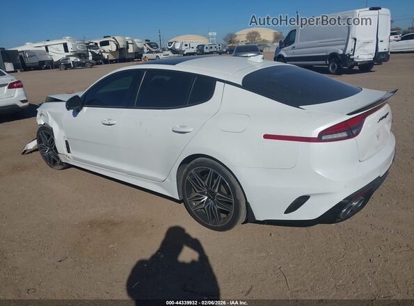 KNAE55LC3P6127310 2023 KIA STINGER Белый Задняя левая четверть