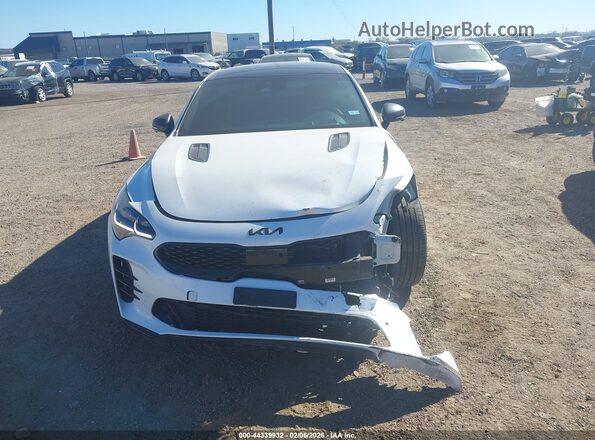 KNAE55LC3P6127310 2023 KIA STINGER Белый Вид спереди