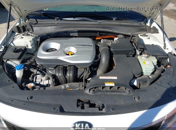 KNAGV4LD5H5013196 2017 KIA OPTIMA PLUG-IN HYBRID White Widok z tyłu