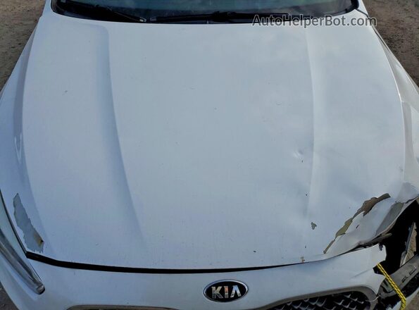 KNALN4D76G5209511 2016 KIA CADENZA White Սալոնի հետևի տեսք