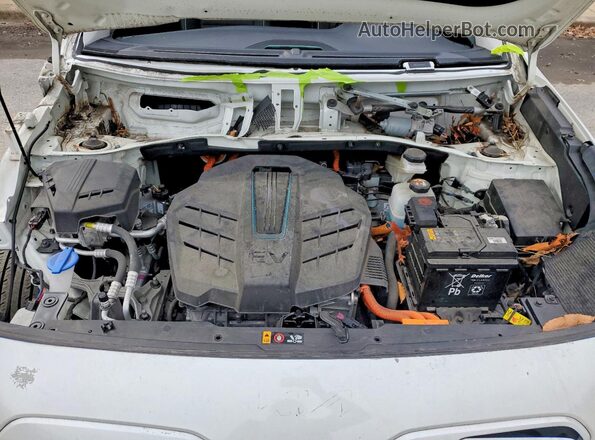KNDCC3LG3N5159846 2022 KIA NIRO White Widok wnętrza z tyłu