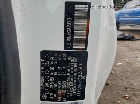KNDMA5C12L6586606 2020 KIA SEDONA Белый 