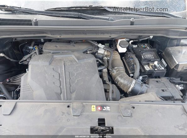 KNDNB4H30R6406540 2024 KIA CARNIVAL MPV Black Widok z tyłu