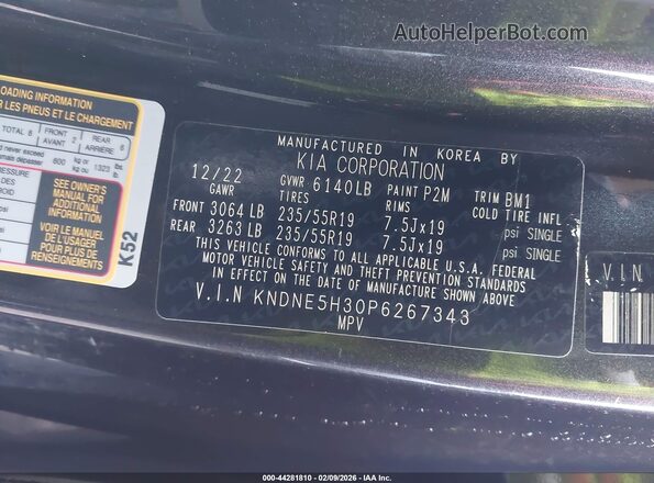 KNDNE5H30P6267343 2023 KIA CARNIVAL MPV Gray Vista del compartimento del motor