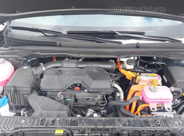 KNDNE5KA5S6047339 2025 KIA CARNIVAL MPV HYBRID Gray Vista trasera
