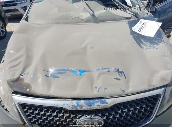 KNDPC3AC9G7803293 2016 KIA SPORTAGE Blue Rear view