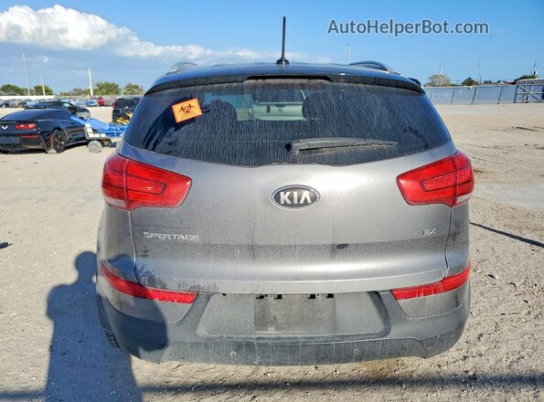 KNDPC3ACXG7870596 2016 KIA SPORTAGE Серый Вид сзади