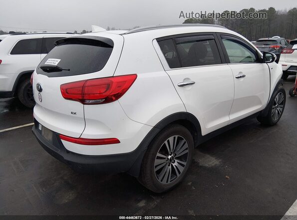 KNDPCCAC6G7864388 2016 KIA SPORTAGE White Tył prawy