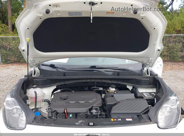 KNDPM3AC0N7027808 2022 KIA SPORTAGE White 