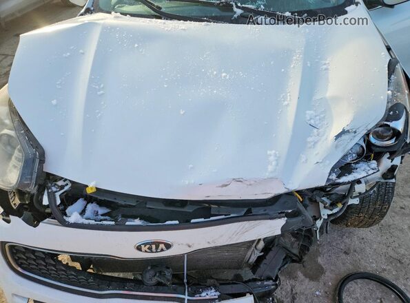 KNDPM3ACXK7628428 2019 KIA SPORTAGE White 