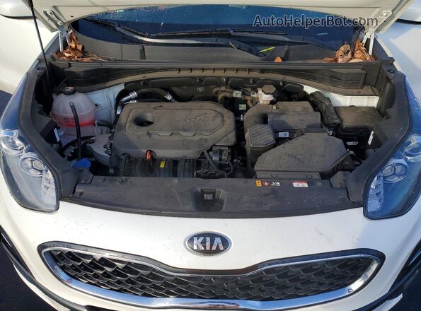 KNDPMCAC1M7896982 2021 KIA SPORTAGE White Вид задньої частини салону