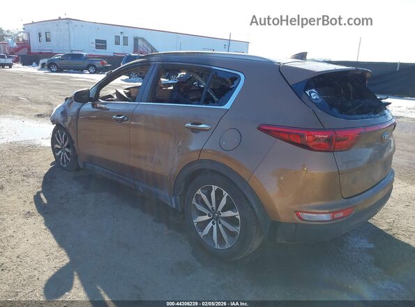 KNDPNCAC4H7229407 2017 KIA SPORTAGE Brown Rear left