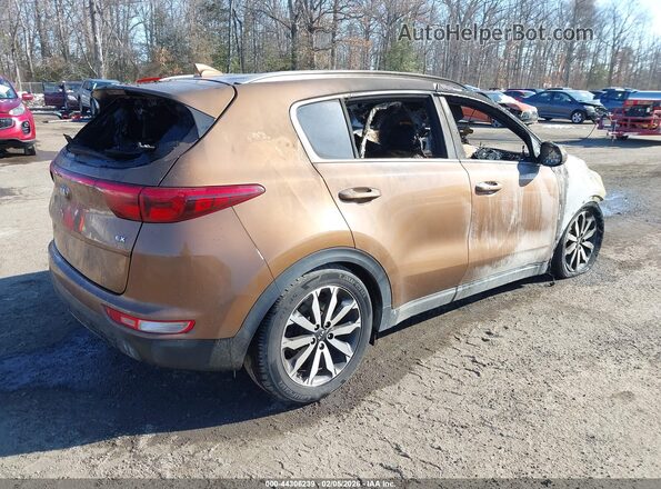 KNDPNCAC4H7229407 2017 KIA SPORTAGE Brown Rear right