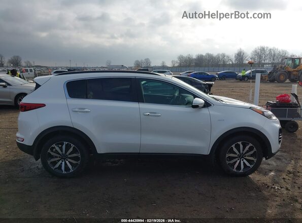 KNDPNCAC6K7572727 2019 KIA SPORTAGE Белый Панорамный вид салона 360°