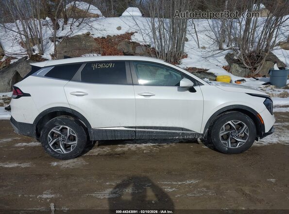 KNDPUCDF2R7273531 2024 KIA SPORTAGE White უკანა სალონის ხედი